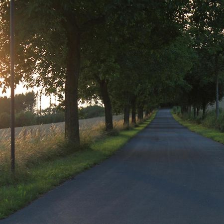 Fewo Harling - Waldsamkeit Bad Iburg Dış mekan fotoğraf