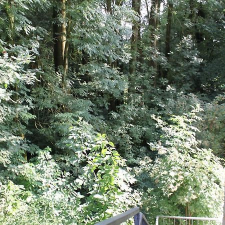 Fewo Harling - Waldsamkeit Bad Iburg Dış mekan fotoğraf