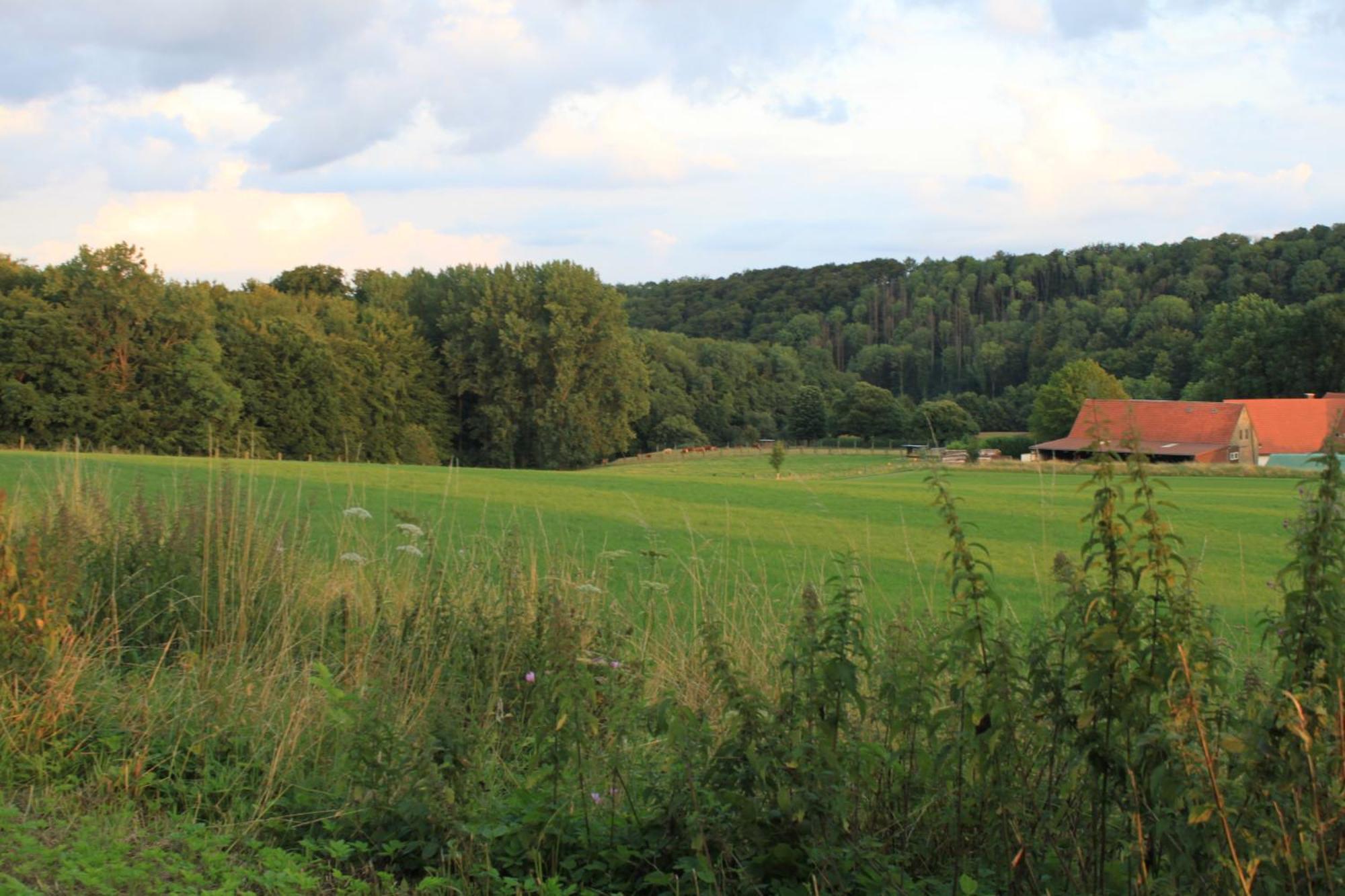 Fewo Harling - Waldsamkeit Bad Iburg Dış mekan fotoğraf