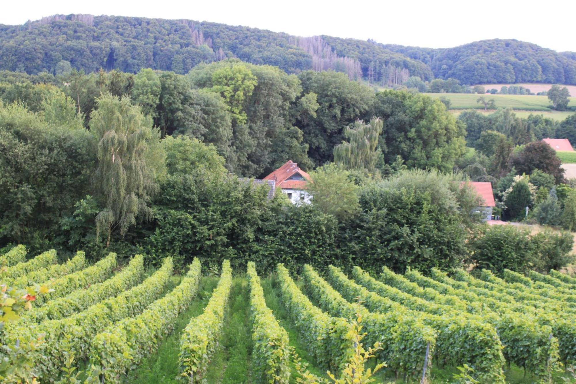 Fewo Harling - Waldsamkeit Bad Iburg Dış mekan fotoğraf