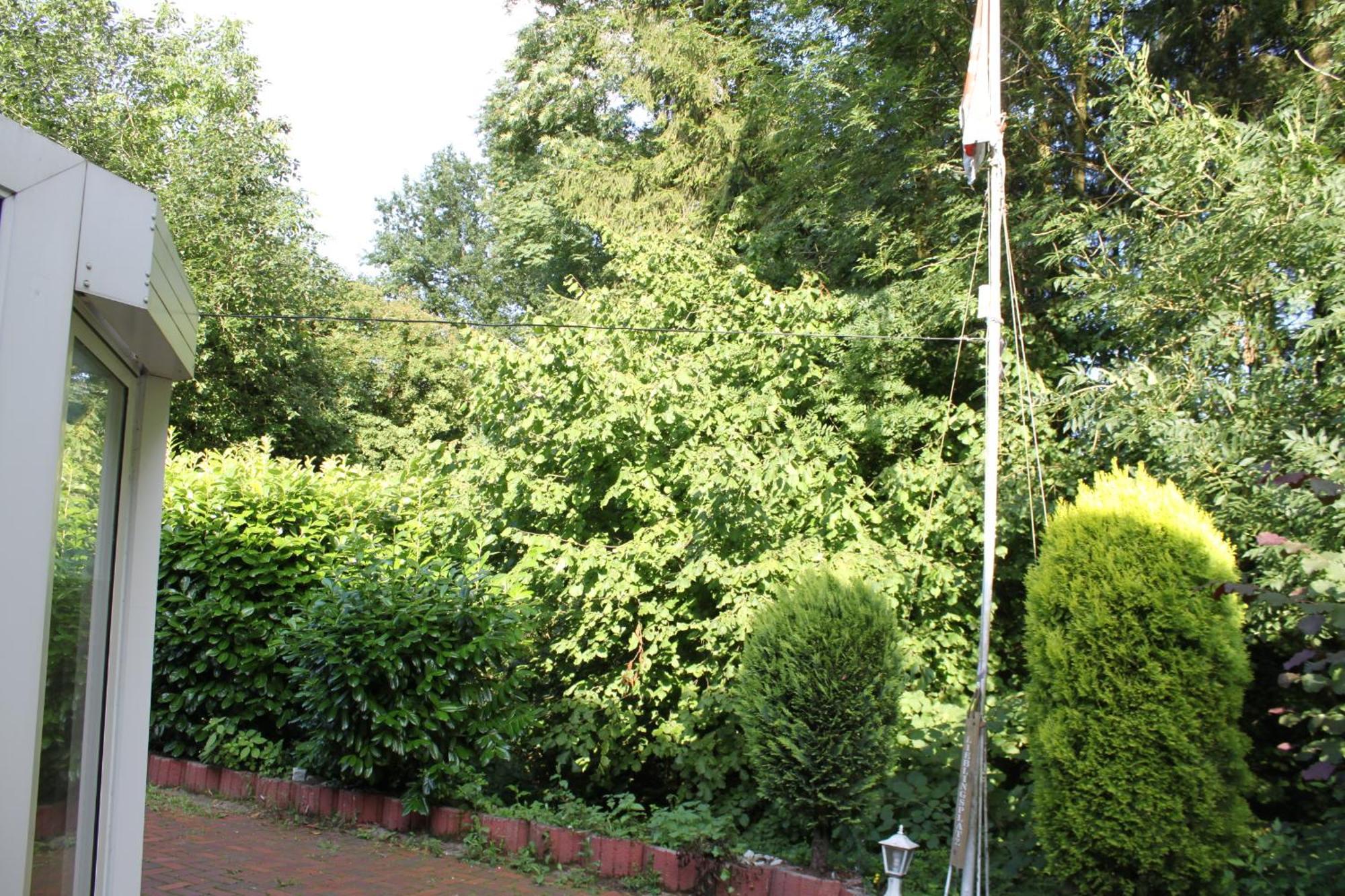 Fewo Harling - Waldsamkeit Bad Iburg Dış mekan fotoğraf