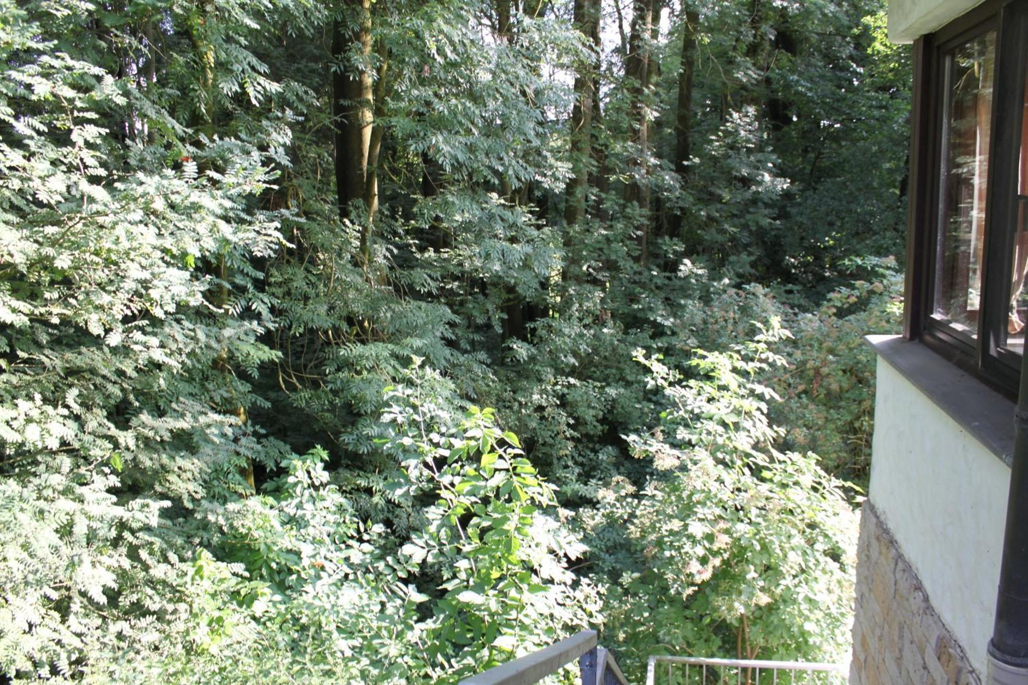 Fewo Harling - Waldsamkeit Bad Iburg Dış mekan fotoğraf